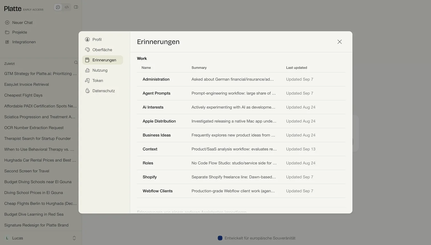 Der Tab Erinnerungen in den Einstellungen mit den nach Bereich gruppierten Gedächtnisdateien